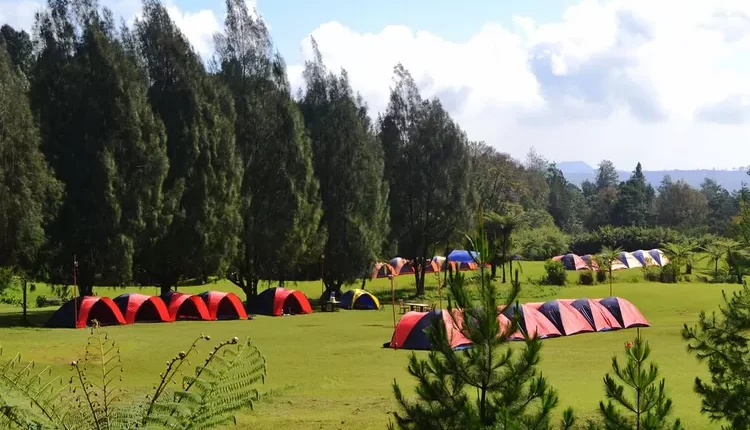 Kemewahan Berkemah di Wisata Mandalawangi Taman Nasional Gunung Gede Pangrango