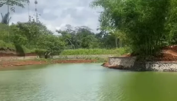 Situ Cimala, Wisata Danau Asri di Cianjur Selatan yang Wajib Dikunjungi