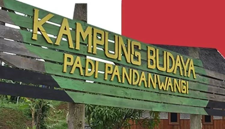 Wisata Budaya Kampung Budaya Padi Pandanwangi di Cianjur