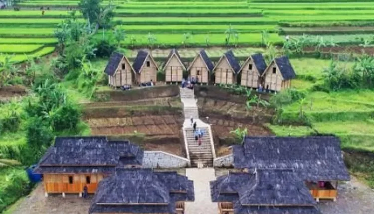 Kampung Budaya Padi Pandan Wangi: Surga Hijau di Tengah Kota