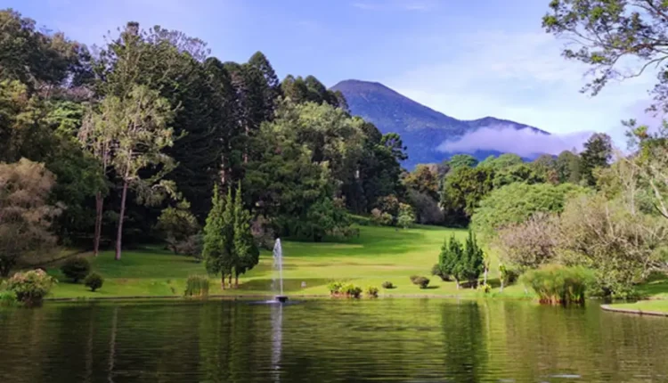 Hutan Kota Cianjur: Oase Hijau di Tengah Kota