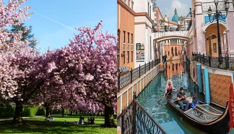 3 Tempat Wisata di Cianjur Ini Serasa di Luar Negeri, Keren Banget!