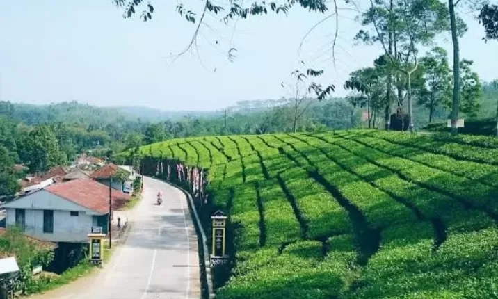 5 Tempat Wisata di Cianjur yang Cocok untuk Liburan Keluarga