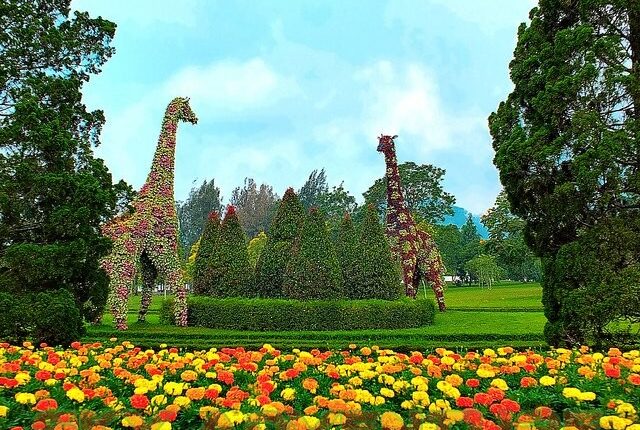 Taman Mawar: Surga Bagi Pecinta Bunga di Nusantara