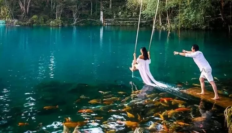 Jembatan Kayu Telaga Biru: Petualangan Menyegarkan di Cianjur