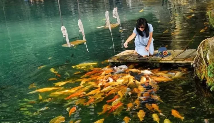 HTM, Fasilitas, dan Rute Menuju Wisata Telaga Biru