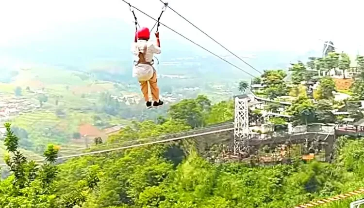 Flying Fox The Nice Funtastic Park: Sensasi Terbang Bebas di Atas Hutan