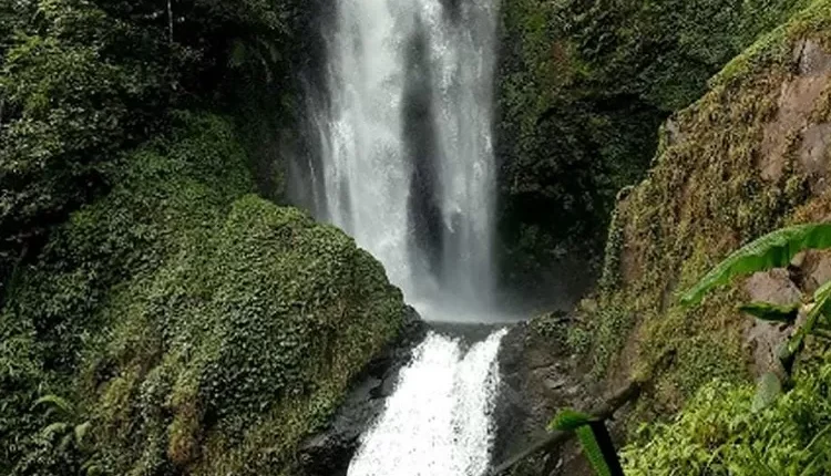 Curug Cijampang: Permata Tersembunyi dengan Pemandangan Alami