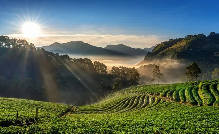 Rekomendasi Destinasi Wisata Alam di Cianjur yang Wajib Dikunjungi Untuk Liburan Akhir Tahun 2024