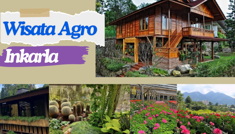 Wisata Agro Inkarla: Surga Pecinta Teh dan Alam